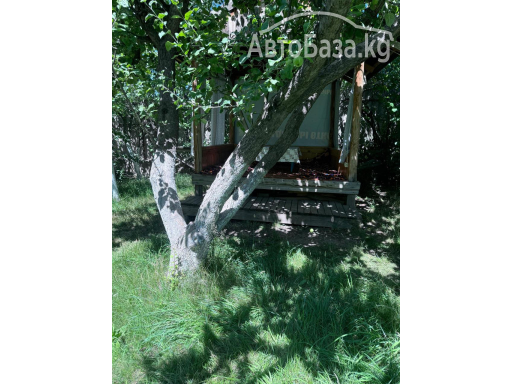 Отдых на Иссык Куле. Гостевой дом "Зелёный сад" 