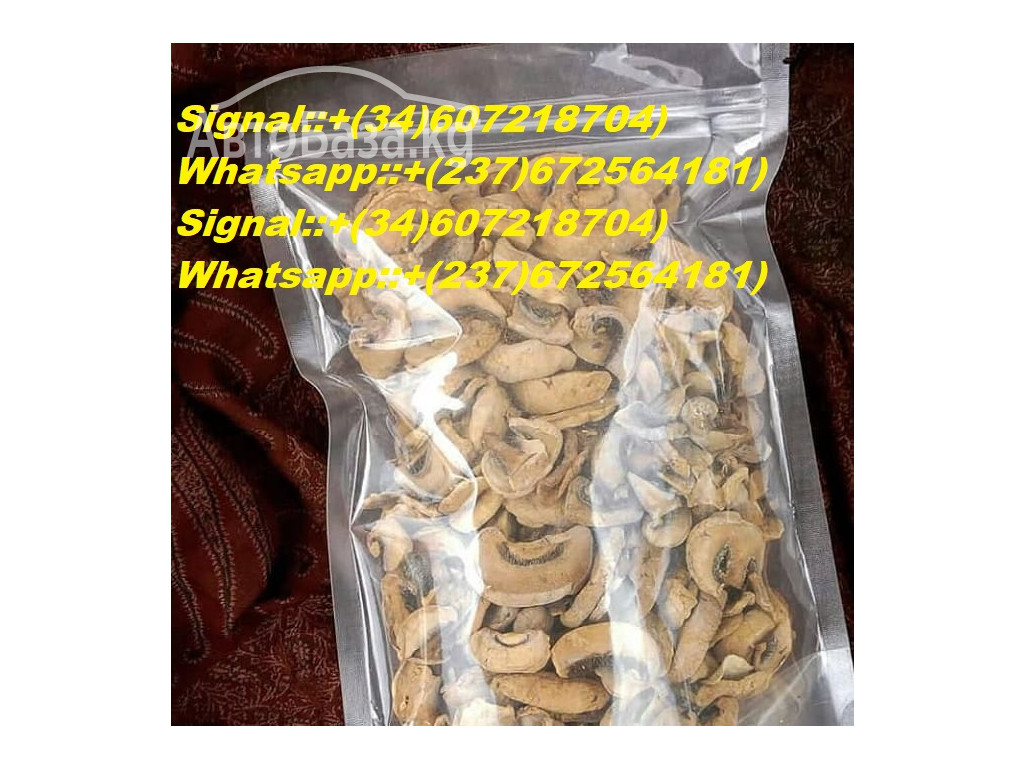 Buy Microbites 3000mg Online Magic Mushroom Gummies Online