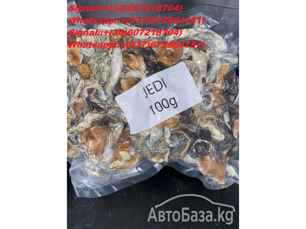 Buy Microbites 3000mg Online Magic Mushroom Gummies Online