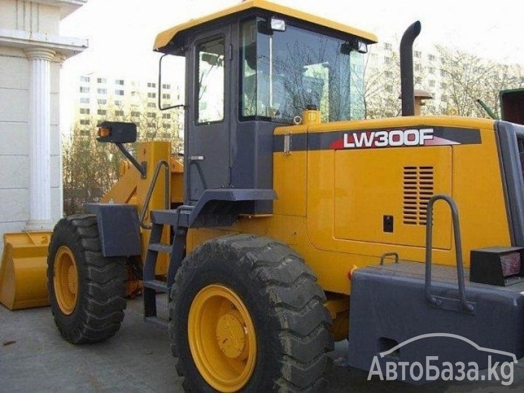 Погрузчик XCMG LW300FN