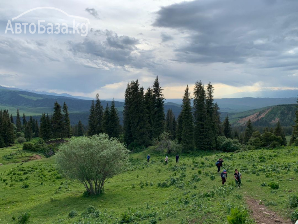 Горный отель "Алаколь - Жыргалан". Кумысолечение в джайлоо .