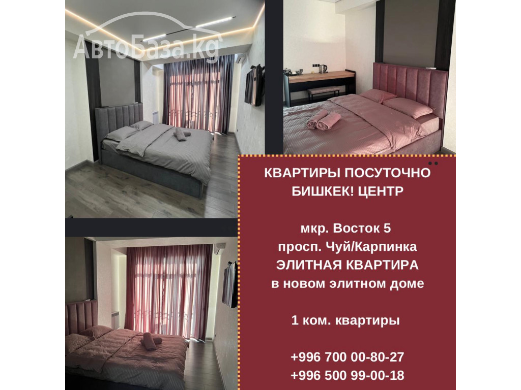 Элитные 1-комнатные квартиры посуточно в центре Бишкека