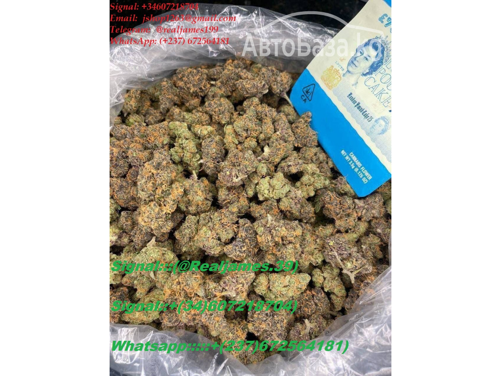 BUY WEED IN USA/BUY WAX IN UK/BUY SHROOMS IN AUSTRALIA