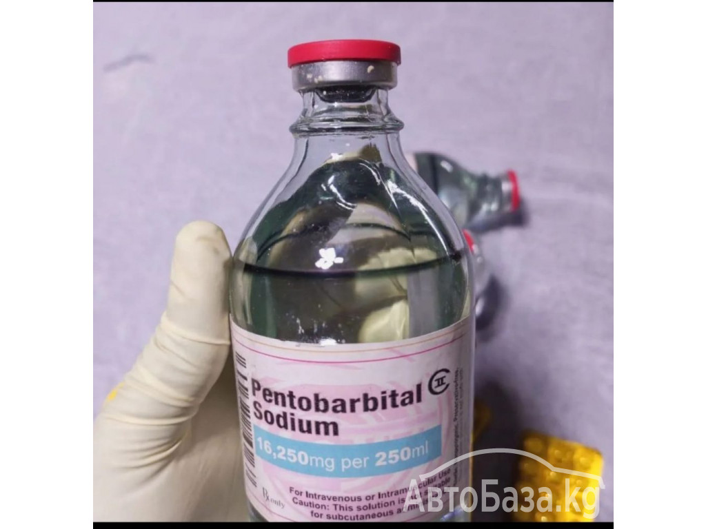 Buy Nembutal Pentobarbital oral solution for peaceful Exit with BITCOIN