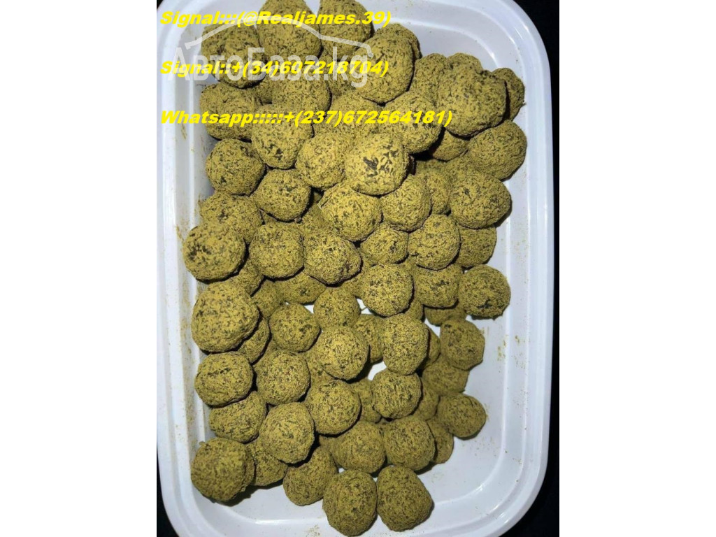 Buy Trippy Treats Magic Mushroom Chocolate Bars Online