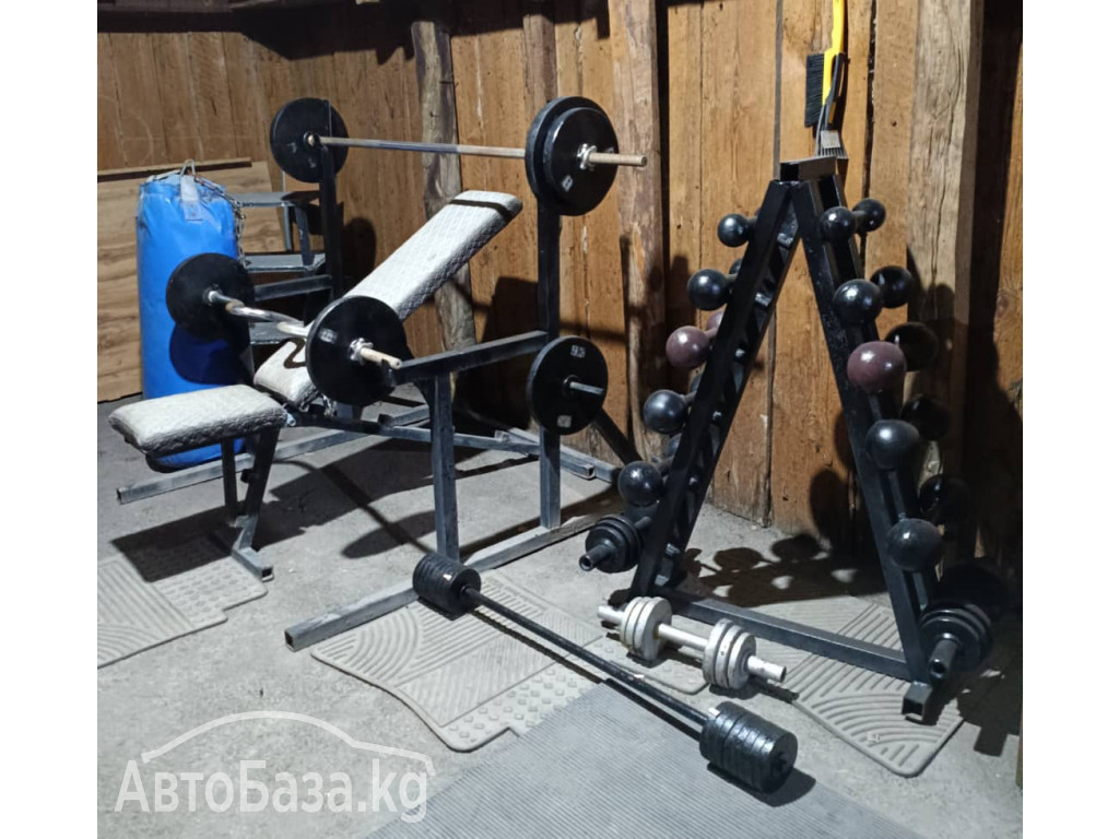 Продам тренажеры Спортивный арсенал: Гантели Штанги турник