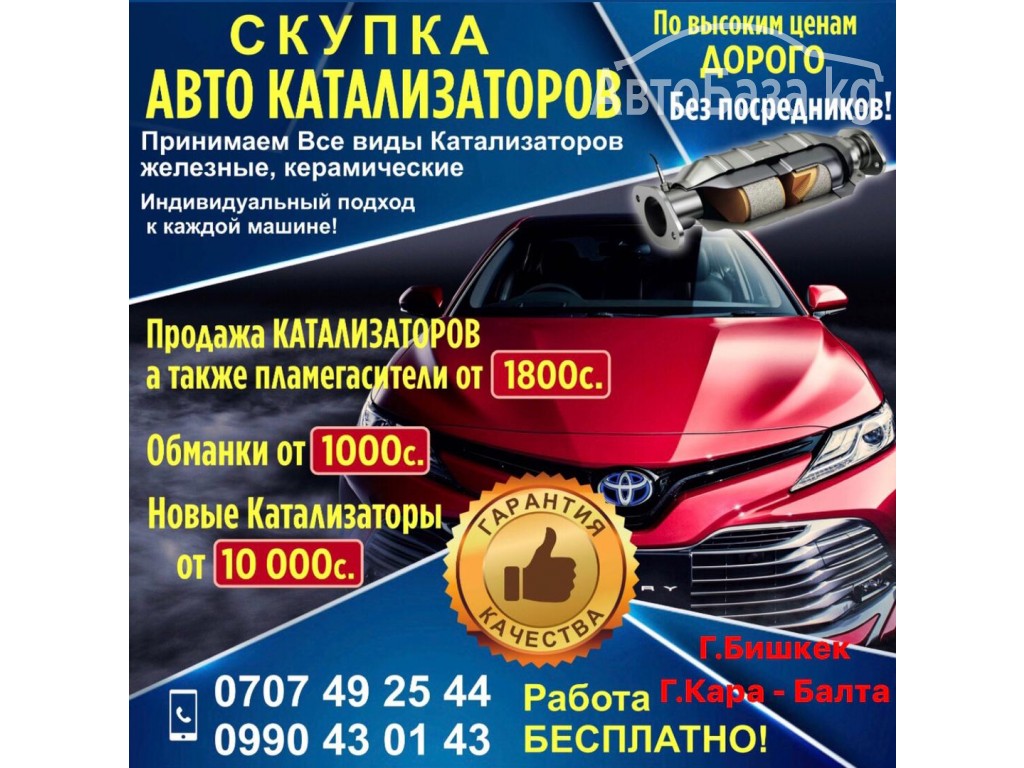 Скупка авто катализаторов