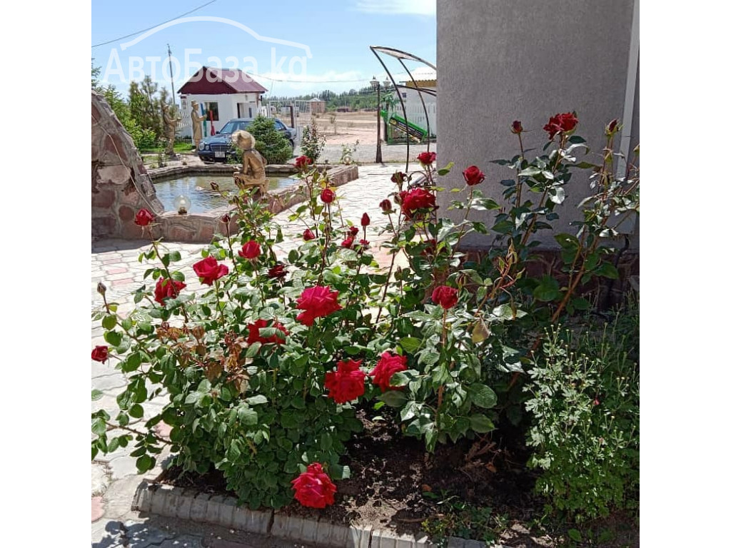 Отдых на Иссык Куле. Пансионат «Островок» Бостери 