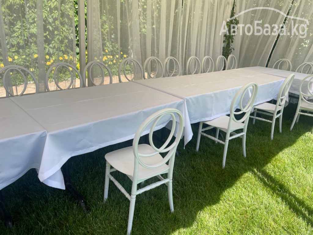 Прокат стульев Бишкек. Стулья в аренду Бишкек 