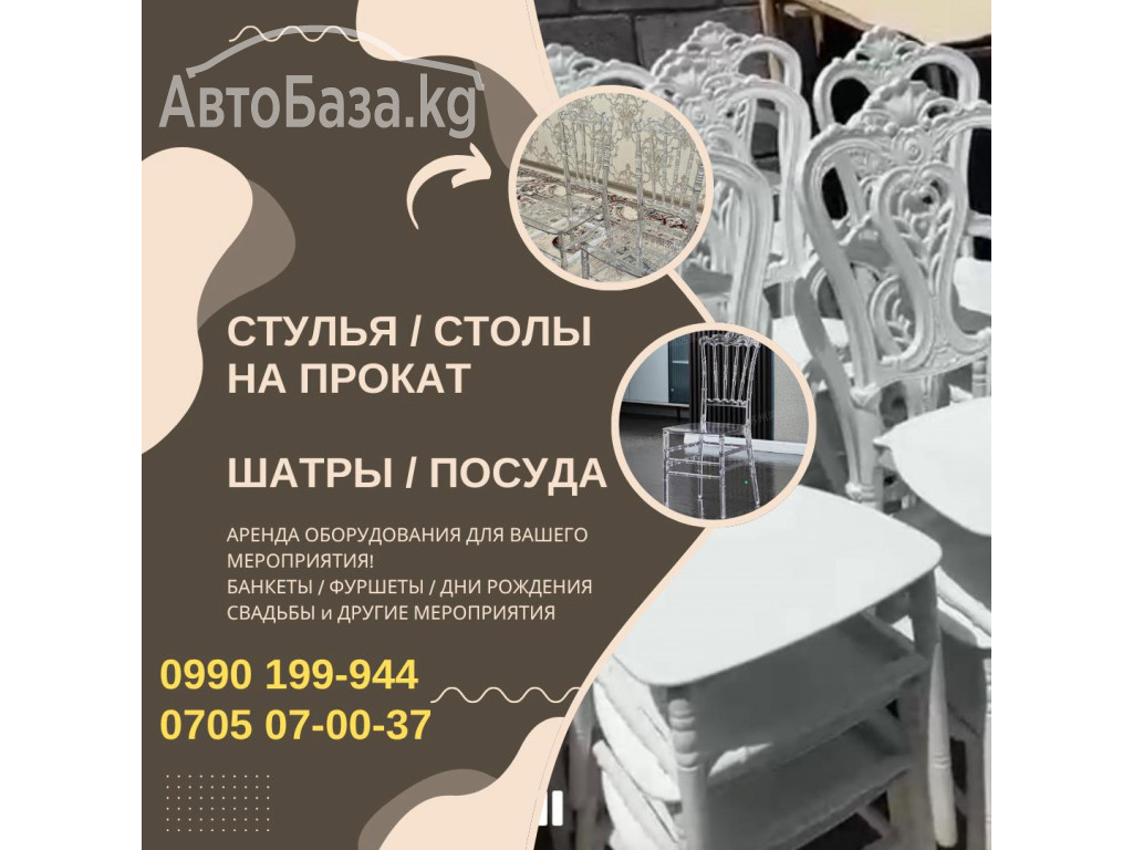 Прокат стульев Бишкек. Стулья в аренду Бишкек 