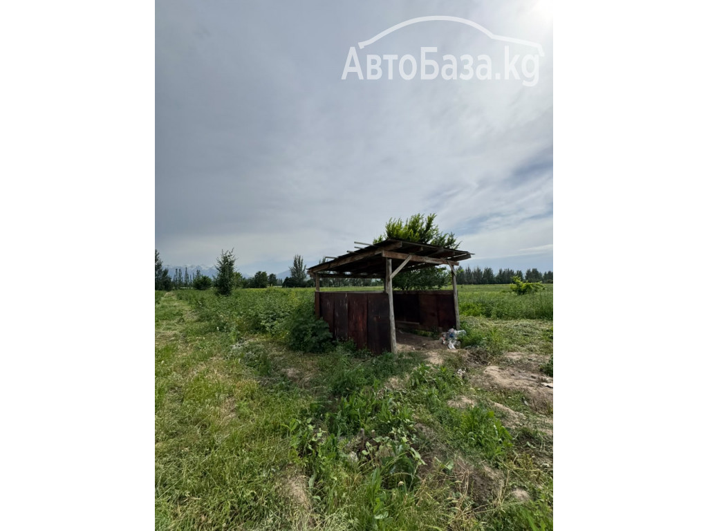 Срочно продается участок для сельско хозяйства. 1.55 га. Село Джал