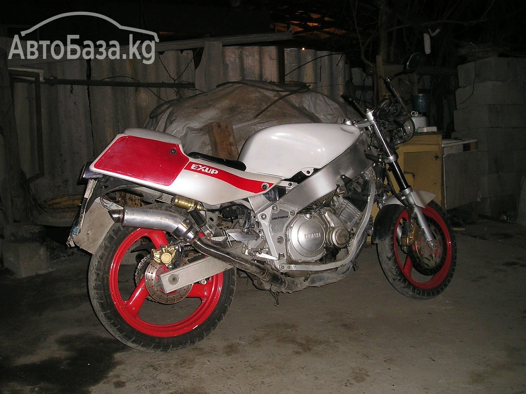 Мотоцикл Yamaha fzr400r