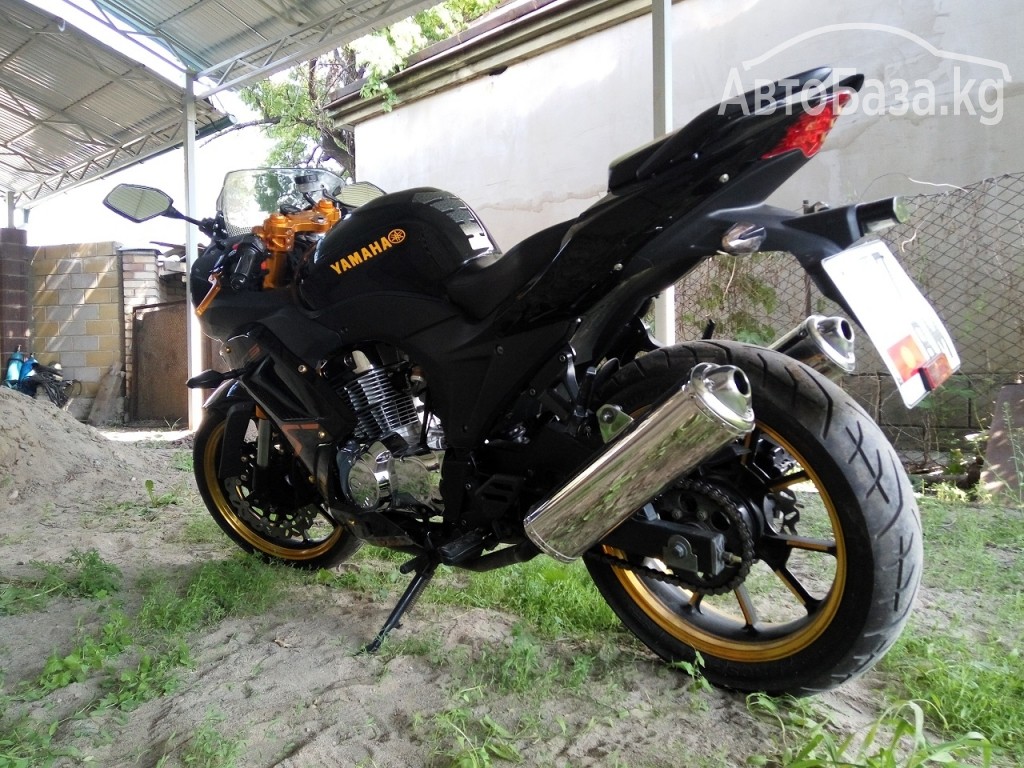 Мотоцикл Yamaha Ducasu