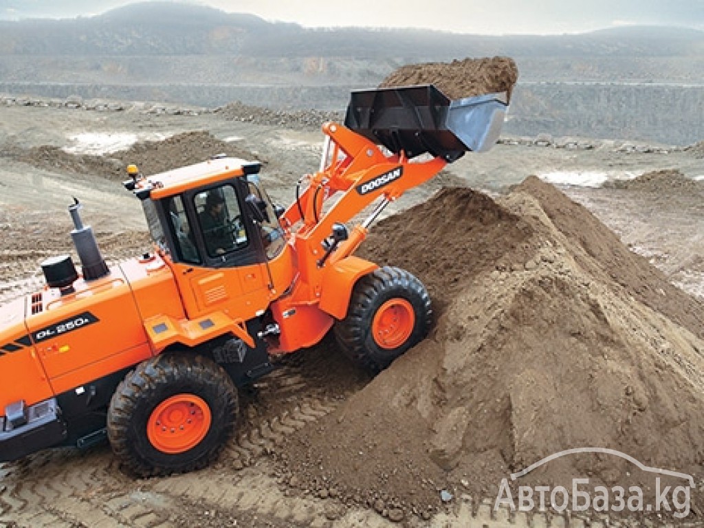 Погрузчик Doosan Колесный  DL250A