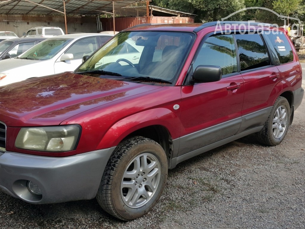 Subaru Forester 2003 года за ~500 000 руб.