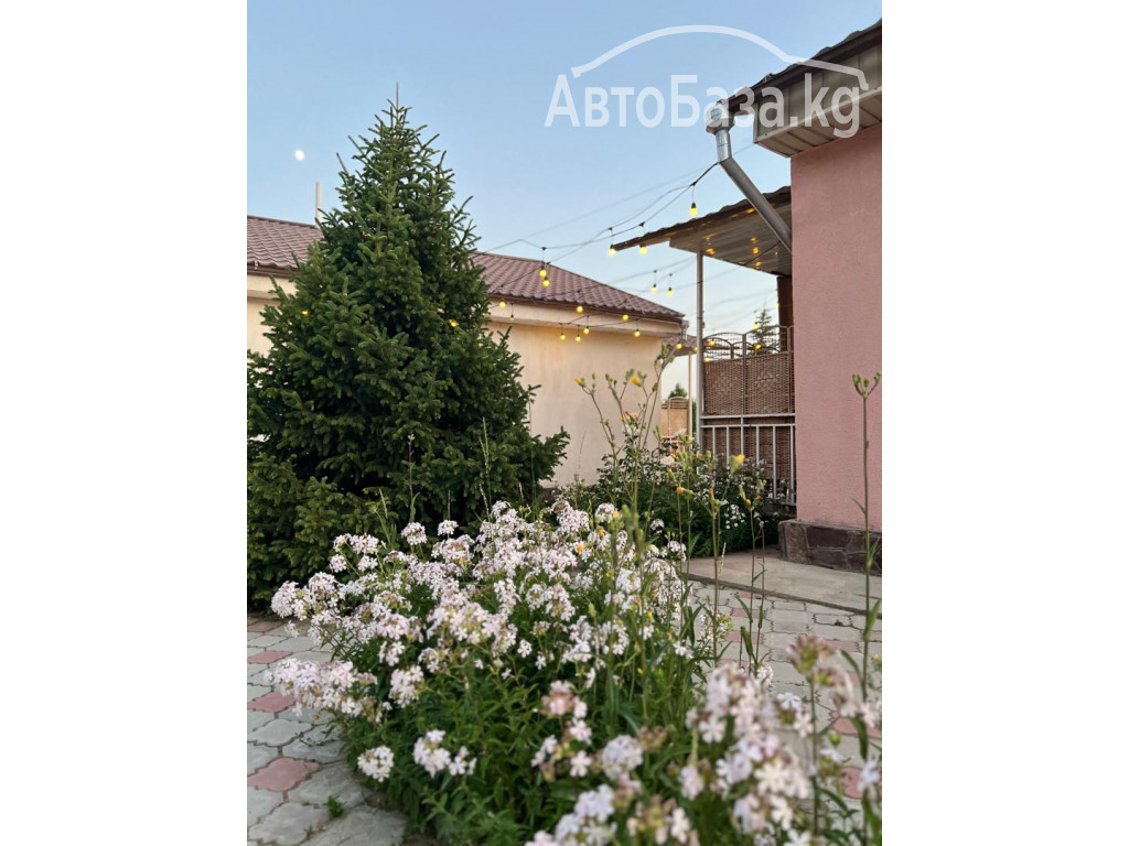 Отдых на Иссык Куле. Пансионат «Островок» Бостери 